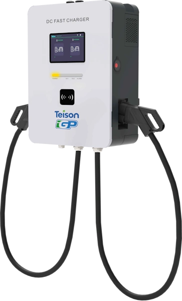 Wall Mounted DC Charging Station